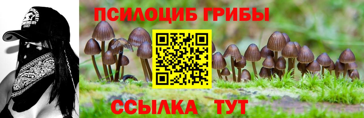 Псилоцибиновые грибы прущие грибы  Вход с VPN  Печора 